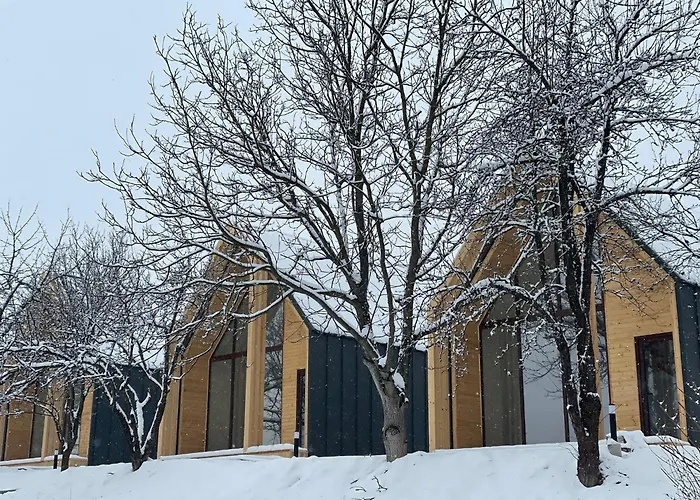 Sovata Cabin Rentals
