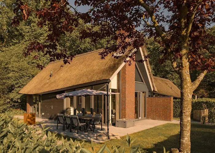 Schoorl Cabin Rentals