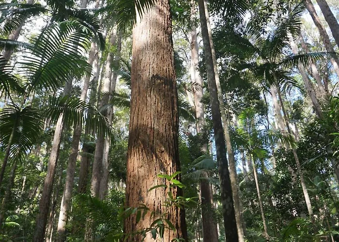 Fraser Island Cabin Rentals