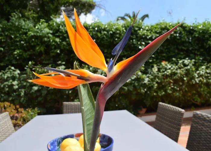 Can Pastilla (Mallorca) Cabin Rentals